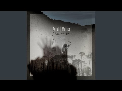 In Lonesome Winter Forest