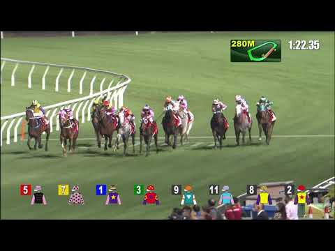 24/11/2021 (203) Cheerful Days - A Badel