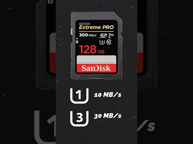 Vídeo relacionado con Ediloca Tarjeta SD 32GB, 2Pcs, Tarjeta de Memoria, hasta 100MB/s, UHS-I, C10, U3, V30, Full-HD & 4K Video, Tarjeta SD para Cámara, Imprescindible para Fotógrafos Profesionales(EF2)