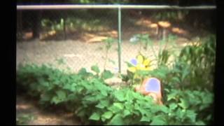 Johnny Rivers   cc rider with pt oz n walt