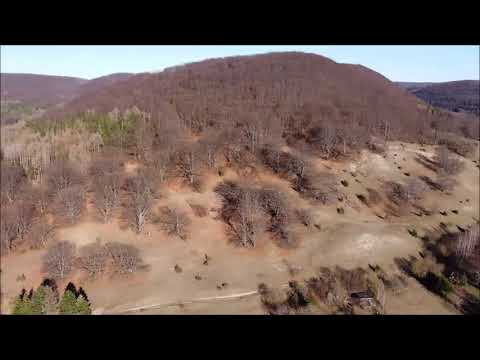 Fischbach | Rhön | 4K | Drohne | 01.03.2021