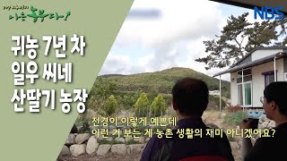 [산딸기 부자의 농사 정복기] 귀농 7년 차의 여유??