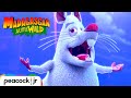Rats The Musical Disaster MADAGASCAR A LITTLE WILD