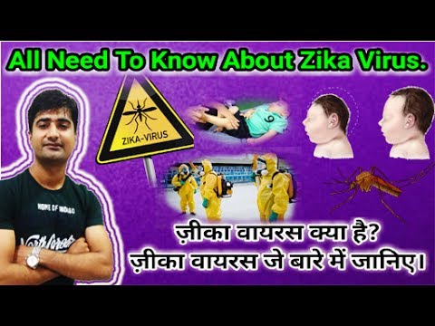 हिन्दी - जीका वायरस | Zika virus | Causes | Symptoms | Treatment | Prevention |Care in pregnancy Video