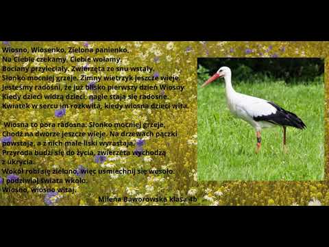 Wiosno, Wiosenko