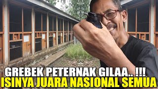 Download lagu EDANN..!! PETERNAK GILA !!! ISINYA MURAI BATU JUARA NASIONAL SEMUA, KHARISMA BIRDFARM PANGANDARAN mp3 Download lagu EDANN..!! PETERNAK GILA !!! ISINYA MURAI BATU JUARA NASIONAL SEMUA, KHARISMA BIRDFARM PANGANDARAN mp3