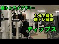 【1分で解る筋トレ解説】ディップス【筋トレライブラリー】
