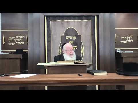 How closely do you need to examine the Arba Minim | Shiur By Rav Asher Weiss Shlit"a | 2024