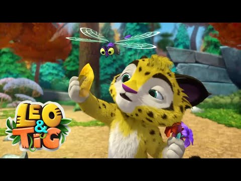 Leo e Tig ⭐  Inspiração perdida ⭐  Desenhos Animados