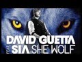 David Guetta feat. Sia - She Wolf (Falling To ...