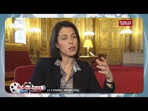 Le conseil municipal - MUNICIPALES MODE D'EMPLOI (30/01/2014)