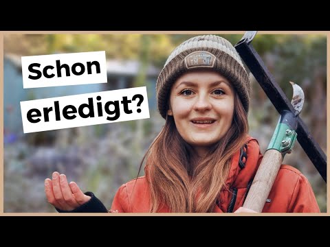 Die 11 wichtigsten Gartenarbeiten im Februar