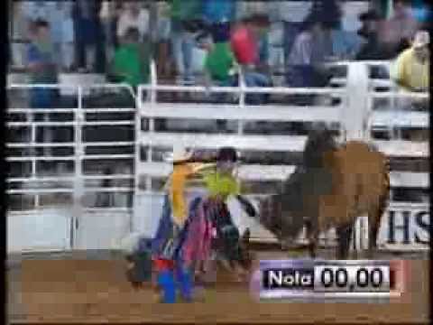 pirilampo melhores momentos