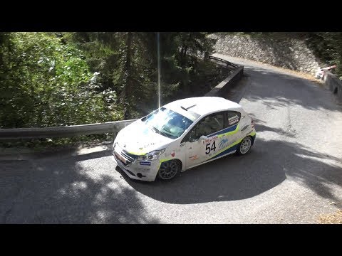 6°Rally del Sebino 2017 Brignoli-Camozzi by Ferrario Video