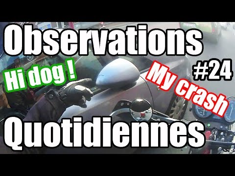 Daily Observations #24