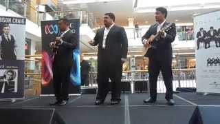 SOL3 MIO @ Castle Towers 3-5-2014 Yellow Bird