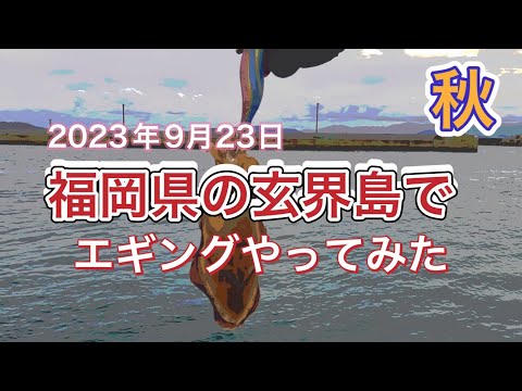 #44 [Para a Ilha Genkai em busca de lulas de outono] Egging pela primeira vez em muito tempo... @eginger.ofuji.00