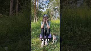 “Perdidas na Floresta A Jornada de Kitty e da Dona para Voltar para Casa” #shortvideo