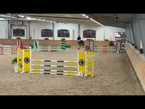 Kamil Musiał - QUINTUS Z (2021) - L100cm Dąbrówka Mała ZO i ZR - 28.11.2025r