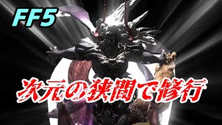 【ピクリマFF5】力を求めて