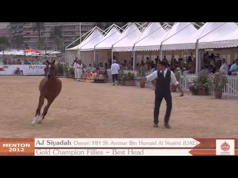 Menton 2012 - Mediterranean and Arab Countries Arabian Horse Championship