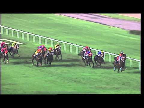 Lion City Cup 2007 (Why Be)