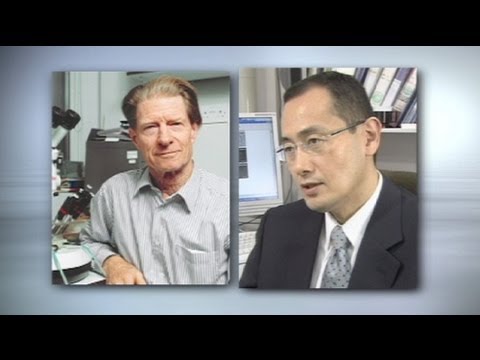 Medizin-Nobelpreis für Zellforscher Gurdon und Yamanaka