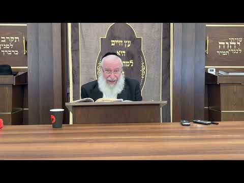 Amirah l'Nochri | Shiur By Rav Asher Weiss Shlit"a @ His Kollel for Americans