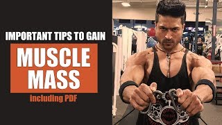 Important Tips to Gain MUSCLE MASS by Guru Mann (including PDF)