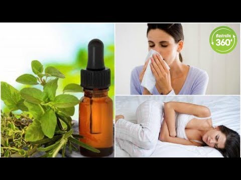 download lagu mp3 mp4 Oregano Oil Australia, download lagu Oregano Oil Australia gratis, unduh video klip Oregano Oil Australia