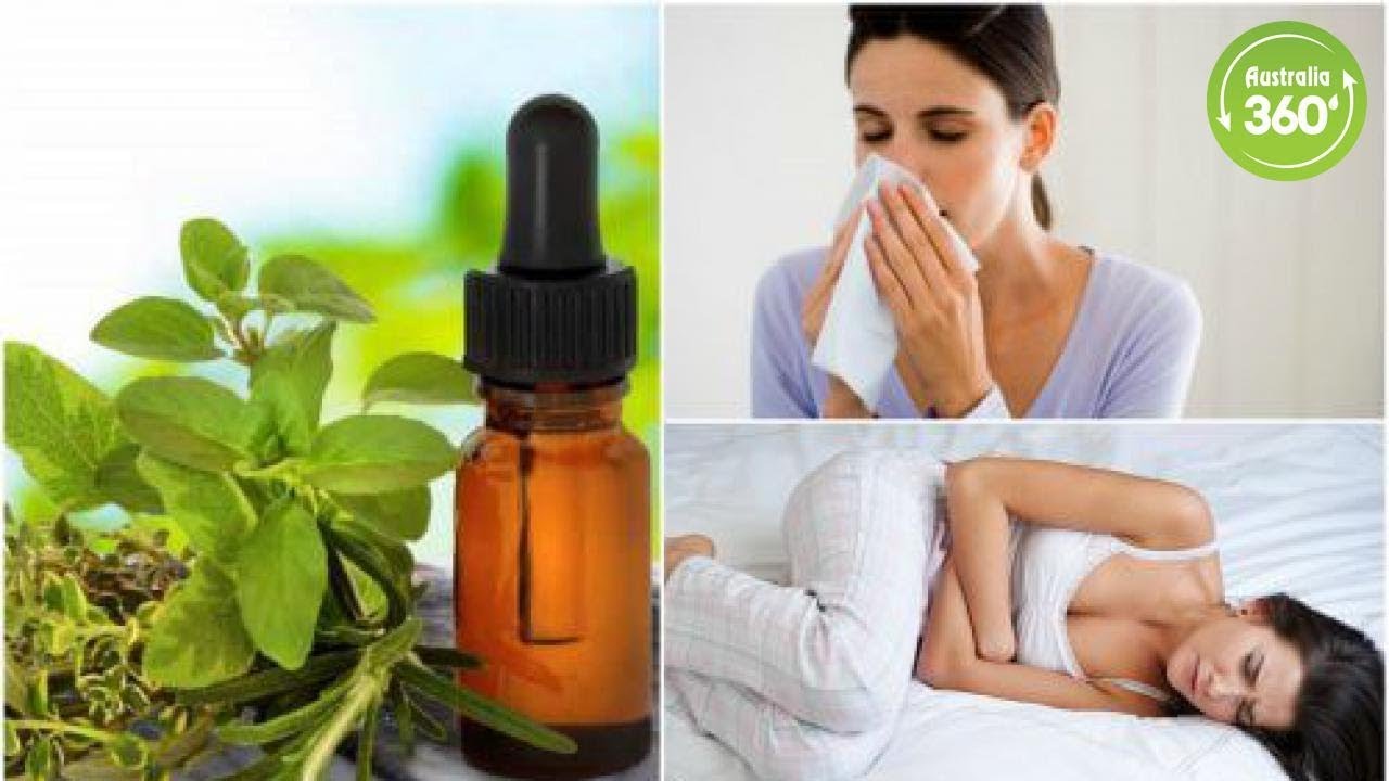 8 Natural Medicinal Uses for Oregano Oil - Australia 360