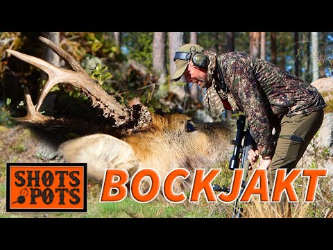 VÅRBOCKSJAKT I FINLAND - Är det jakt på medaljbock som är viktigt?