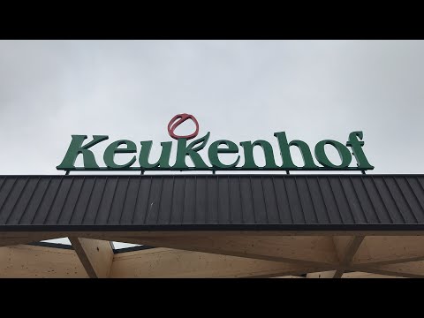 Lale Festivali #keukenhof