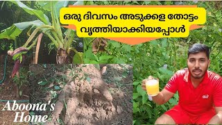 അടുക്കള തോട്ടം ക്ലീനിങ് | Farm Land Cleaning #aboonashome #tapioca #limejuice  #adukkalathottam