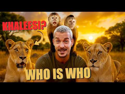 Can You Tell Them Apart? – Dean Schneider