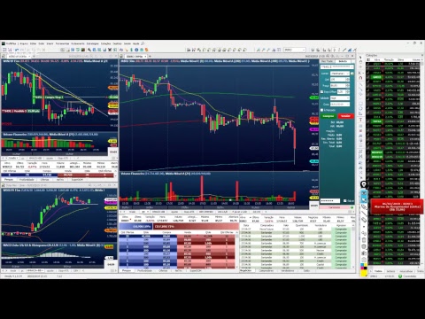 Palinha do Palex - 06 de Março de 2019