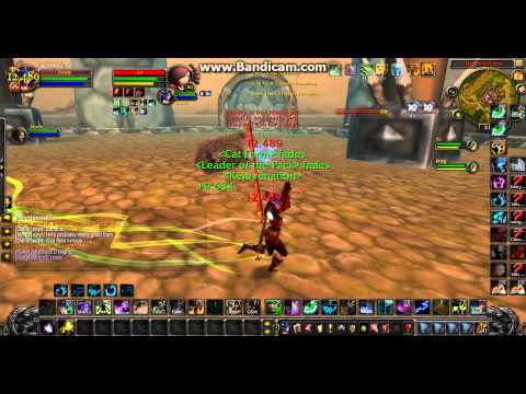 Feral Druid VS WW Monk 1v1 Wargame!