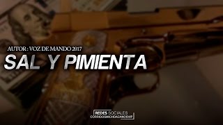 Sal y Pimienta - Voz de Mando ( Corridos 2017 ) - Lo mas nuevo del 2017