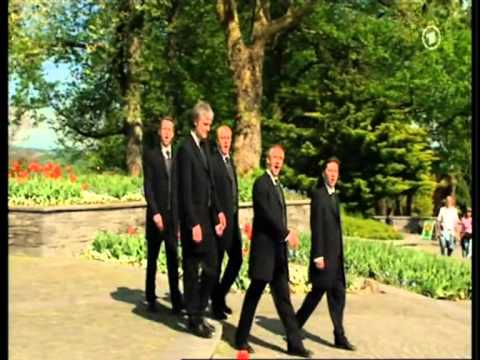 Vocus Focus - Frisch gesungen