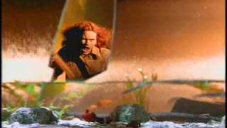MEAT PUPPETS / BACKWATER - Directed by Rocky Schenck
