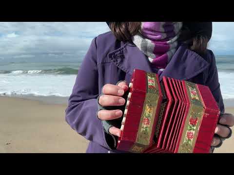 Wellerman Sea Shanty “Soon May The Wellerman Come” Vintage Scholer Anglo Concertina New Zealand folk