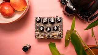 Video thumbnail for Hungry Robot Pedals The Borderland: an advanced digital Reverb! by Living Room GD