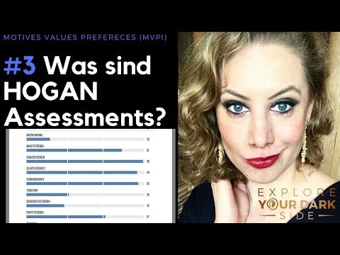 Teil 3/3: Was sind HOGAN Assessments - MVPI Motives Values Preferences Inventory (GERMAN)