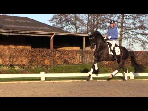 Hometown ( Apache x Ferro ) training