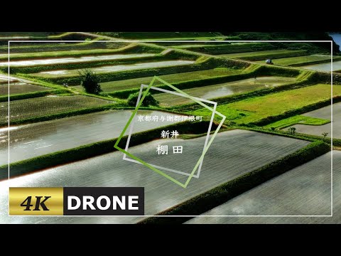 【京都府与謝郡伊根町新井の棚田をドローン空撮 MAVIC3】