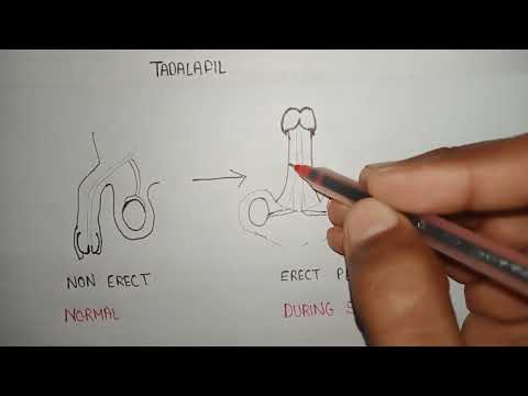 tadalafil mechanism of action | tadalafil uses | tadalafil in erectile dysfunction