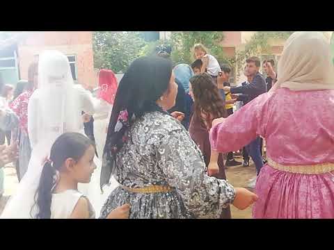 Müzisyen Özlem Ökten AKŞEHİR düğünleri Gedil köyü mahallesinden Yaşar Sevil &