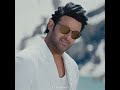 Ninnalu Marichelaa Song Saahoo Movie Prabash SradhakapooR Whatsapp Status