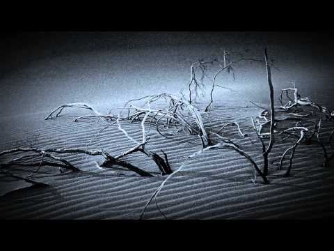 Jemmy - Suede Desert (Marc Marzenit Remix)
