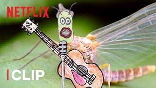 The Cycle of Life of a Mayfly 🌍 Absurd Planet | Netflix After School